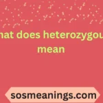 what does heterozygous mean