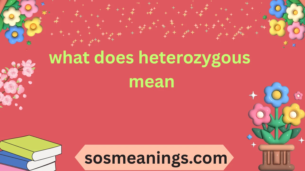 what does heterozygous mean