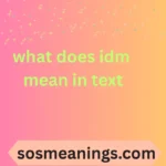 what does idm mean in text