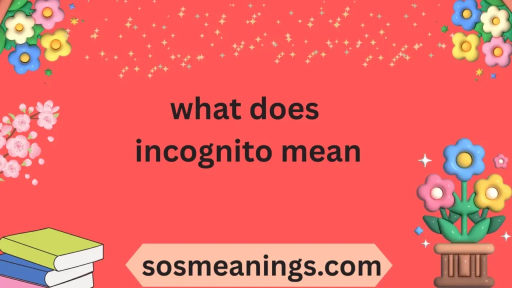 what does incognito mean