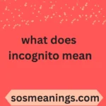 what does incognito mean
