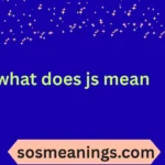 what does js mean