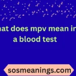 what does mpv mean in a blood test