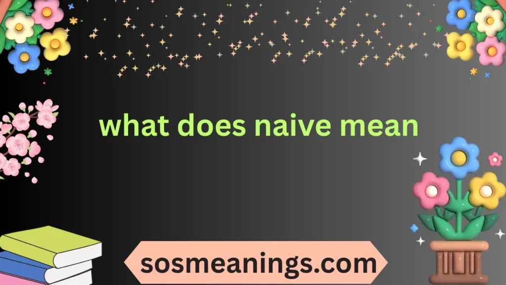 what does naive mean