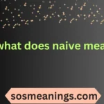 what does naive mean