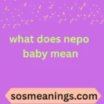 what does nepo baby mean