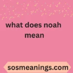 what does noah mean