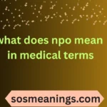 what does npo mean in medical terms