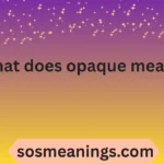 what does opaque mean