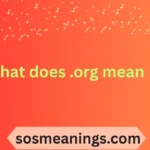what does .org mean