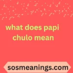 what does papi chulo mean