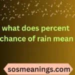 what does percent chance of rain mean