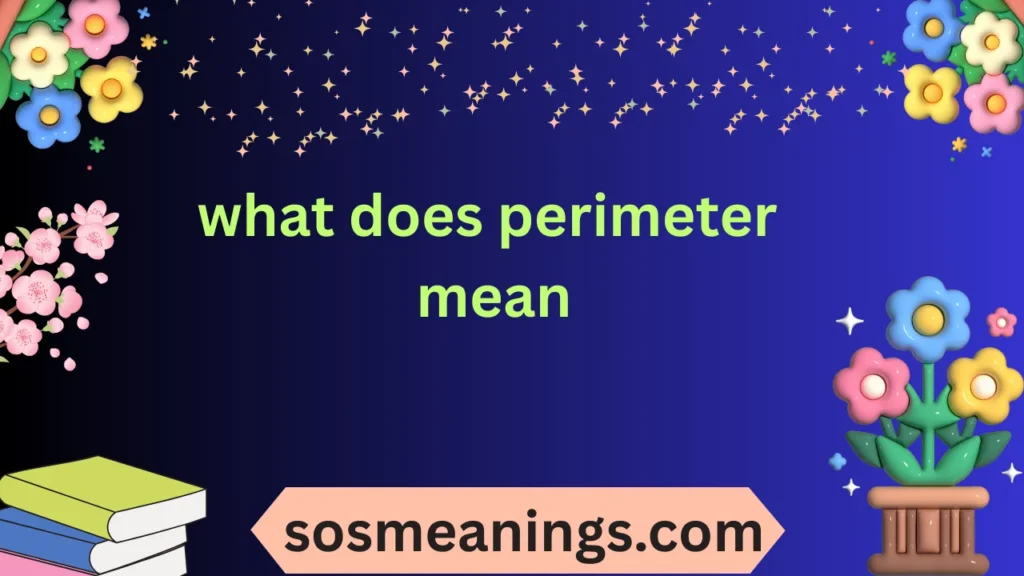 what does perimeter mean