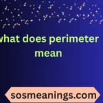 what does perimeter mean
