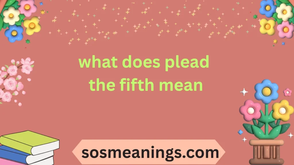 what does plead the fifth mean