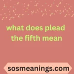 what does plead the fifth mean