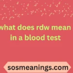 what does rdw mean in a blood test
