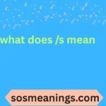 what does /s mean