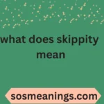 what does skippity mean