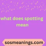 what does spotting mean