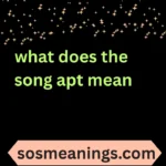 what does the song apt mean