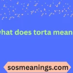 what does torta mean