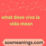 what does viva la vida mean