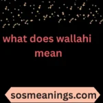 what does wallahi mean