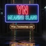 YN Meaning Slang