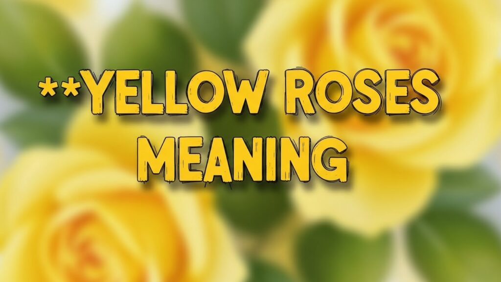 yellow roses meaning