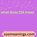 what does 224 mean