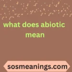 what does abiotic mean