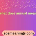 what does annual mean