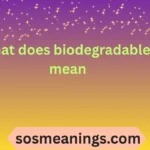 what does biodegradable mean