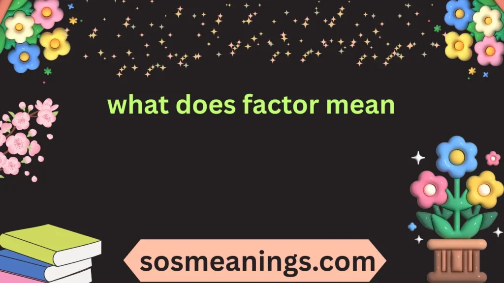 what does factor mean