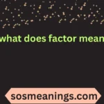 what does factor mean