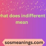 what does indifferent mean
