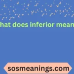 what does inferior mean
