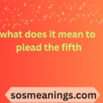 what does it mean to plead the fifth