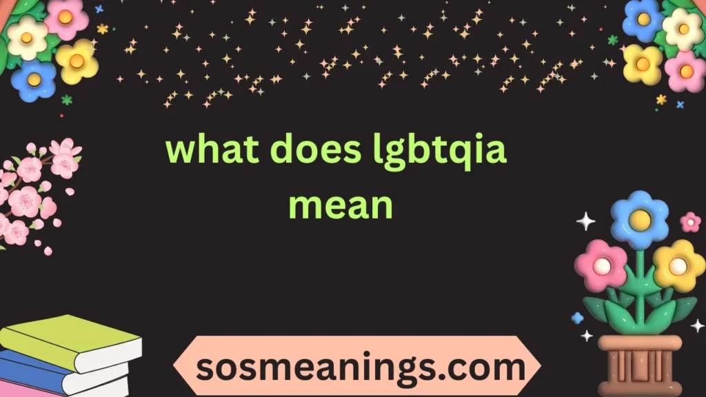 what does lgbtqia mean