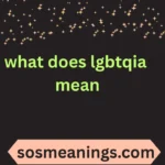 what does lgbtqia mean