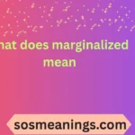 what does marginalized mean