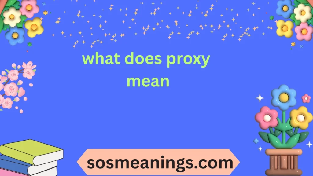 what does proxy mean