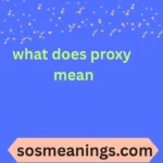 what does proxy mean