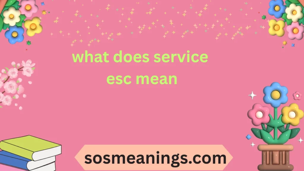 what does service esc mean