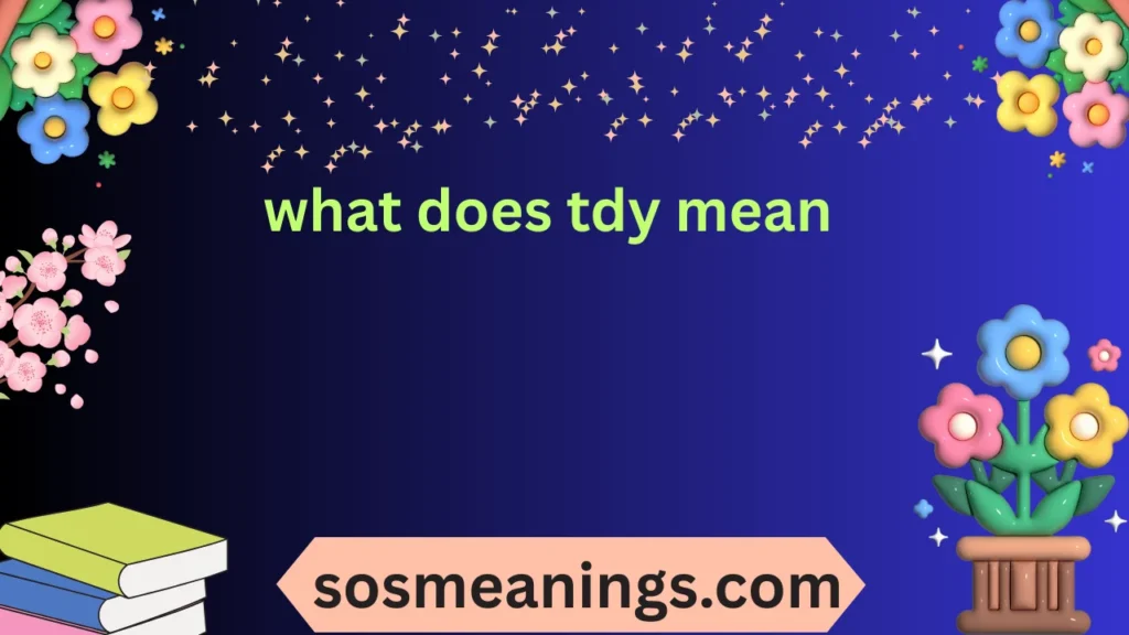 what does tdy mean