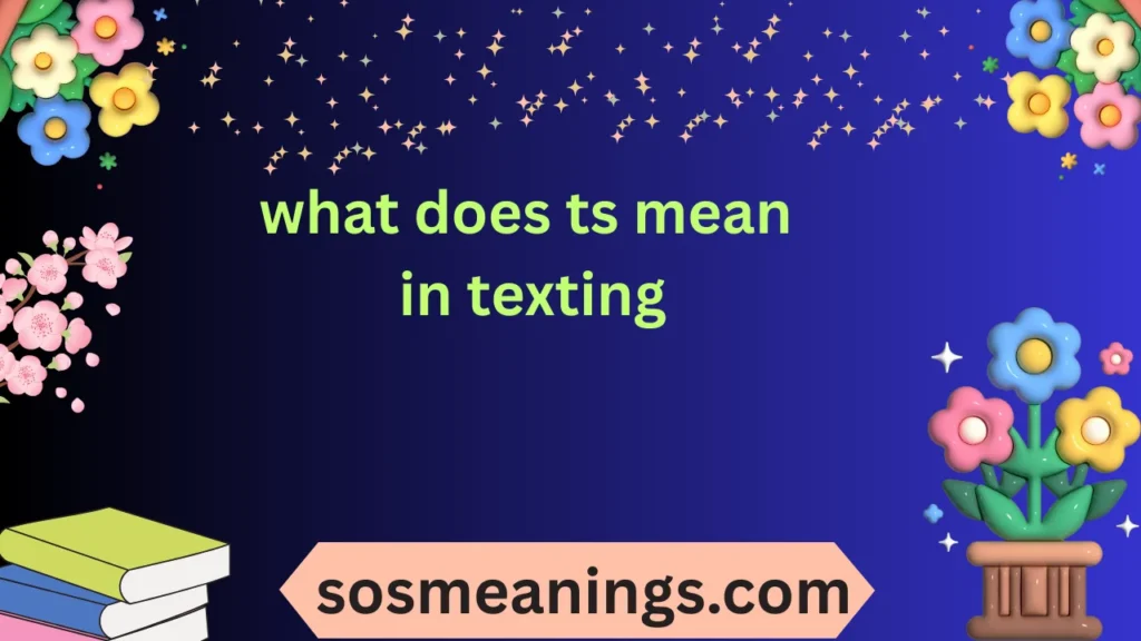 what does ts mean in texting