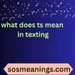 what does ts mean in texting