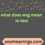 what does wsg mean in text