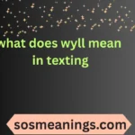what does wyll mean in texting